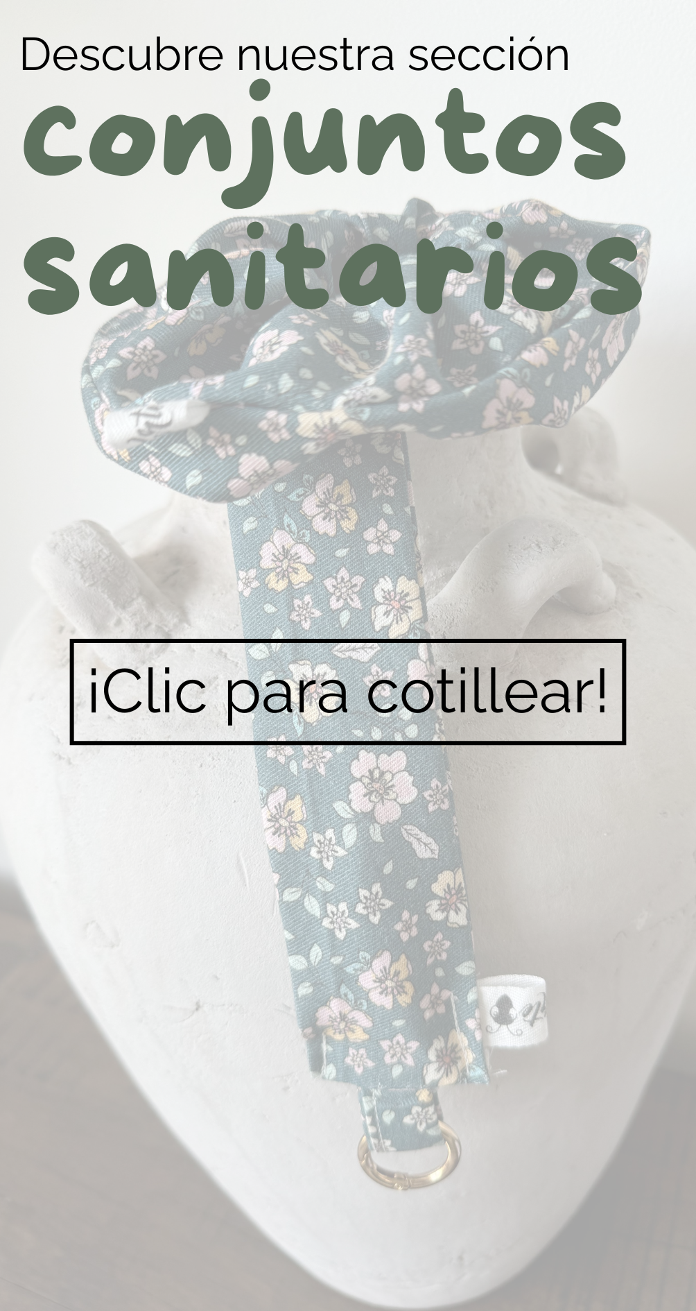 Descubre nuestra sección