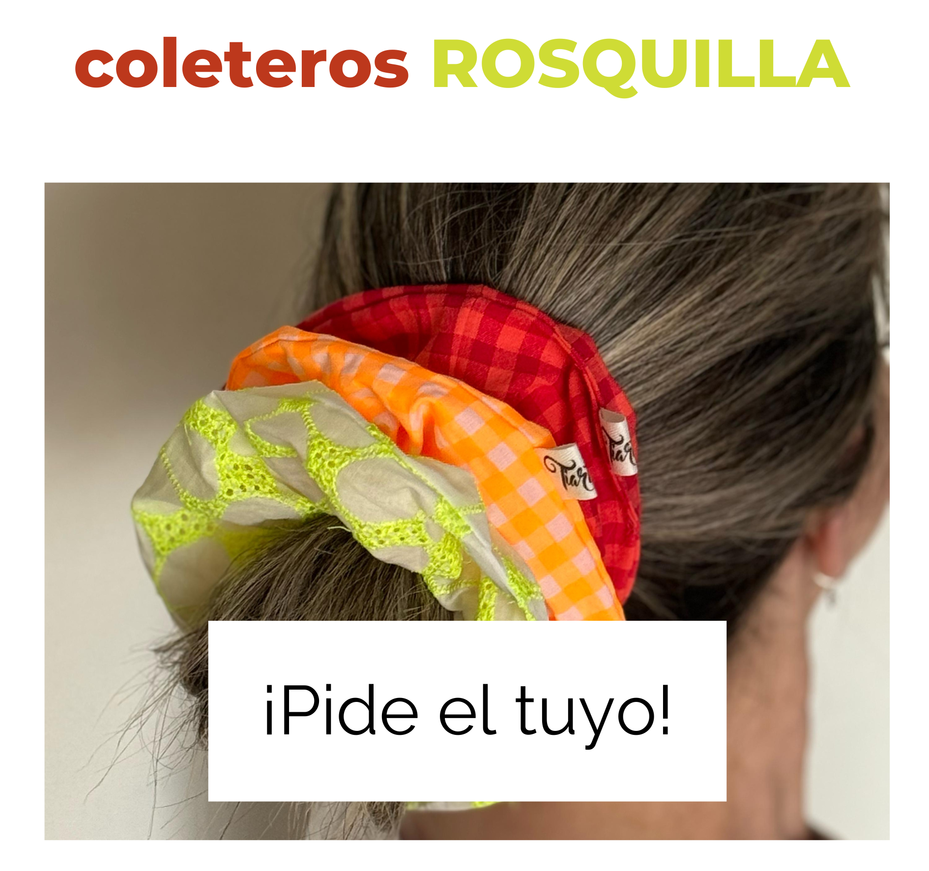 banner-coleteros